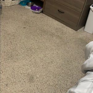 Meet your Posher, Ana